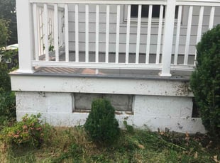 Bush Trimming by Allison Conley for Blanche N. in Jenkins Township, PA