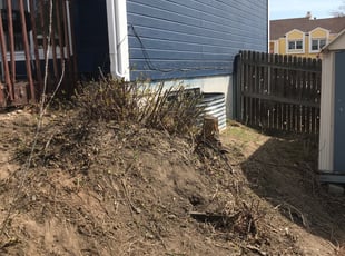 Bush Trimming by Arsenio Townsell for Rachel W. in Aurora, CO