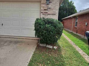 Bush Trimming by Jesus Valencia for Caitlyn B. in Frisco, TX