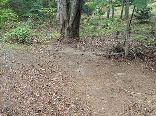 Leaf Removal by Jim Cooper for Jeffrey T. in Arden, NC