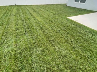 Douglas B.'s Lawn Service service result