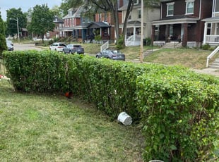 Bush Trimming by Steve Johnson for Heather Renee Adams A. in Columbus, OH