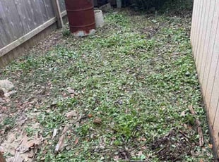 Cleanups by Rene Gabriel Ramirez for Jeff S. in Cedar Park, TX