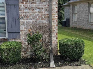 Bush Trimming by Tyrone Blaylock for Darryl H. in Memphis, TN