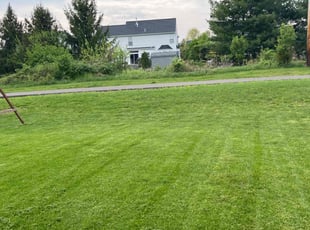 Sandy P.'s Lawn Service service result