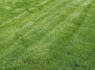 Sean M.'s Lawn Service service result
