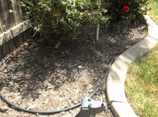 Bush Trimming by Michael Linley for Michael M. in Sacramento, CA