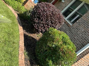Bush Trimming by Gary King for Donna O. in Easley, SC