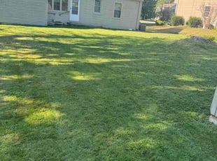 Georgia C.'s Lawn Maintenance service result