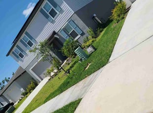 Diana H.'s Lawn Mowing service result