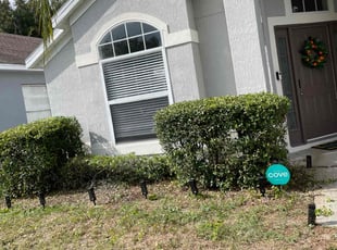Bush Trimming by Onel Cherilus for Colleen G. in Apopka, FL