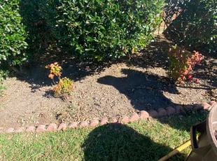 Weeding by Matthew Rutledge for Reg P. in Glen Allen, VA
