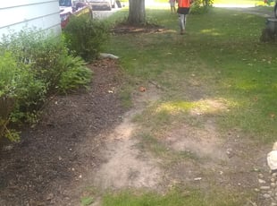 Leaf Removal by Deactivated Account for Elizabeth W. in Indianapolis, IN