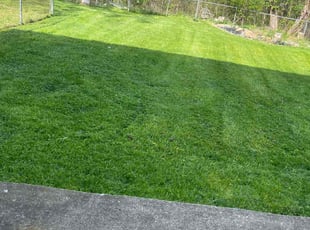 Nate H.'s Lawn Mowing Service service result