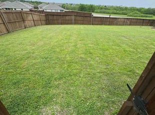 Julio C.'s Yard Cutting service result