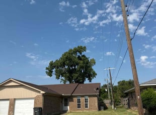 Justin D.'s Lawn Service service result