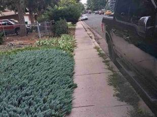 Cleanups by Joseph Felicetty for Kirk D. in Colorado Springs, CO