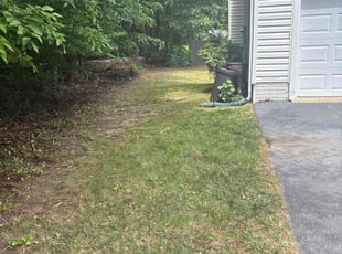 Leaf Removal by candelario castillo for Garrett B. in Springfield, VA