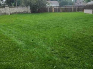 Jakeyla R.'s Lawn Mowing Service service result