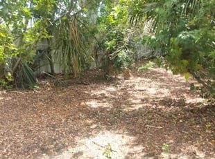 Bush Trimming by Stephen Peffly for Edwin P. in Seminole, FL
