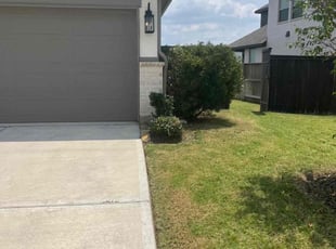 Bush Trimming by Ricky Bowie for Mirsad M. in Katy, TX