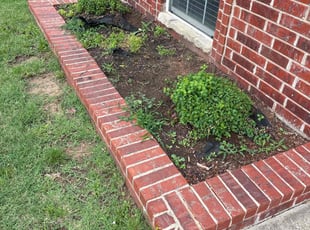 Bush Trimming by Cesar Zuniga for Rubab L. in Oklahoma City, OK