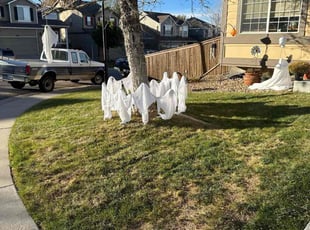 Leaf Removal by Justin Hands for J.T. W. in Littleton, CO