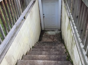 Leaf Removal by Rose Valle for Kayla L. in Alexandria, VA