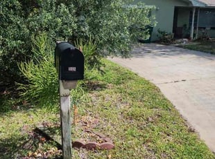 Leaf Removal by Joseph Comerford for Frances D. in Indialantic, FL