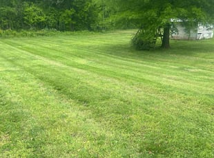 Erika R.'s Lawn Mowing service result
