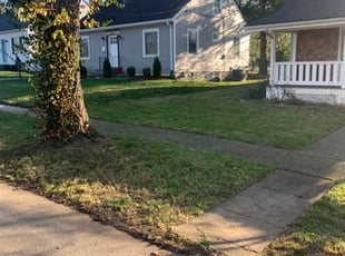 Leaf Removal by Tristan Spradlin for Adriana N. in Lexington, KY