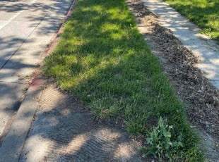 Leaf Removal by Andrew Brisk for Audra W. in Bountiful, UT