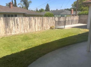 Melanie T.'s Lawn Mowing service result