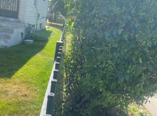 Bush Trimming by Eliezer Paez for Bryton B. in Ogden, UT