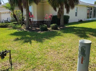 Bush Trimming by Paula Castillo Perez for Erin F. in Parrish, FL