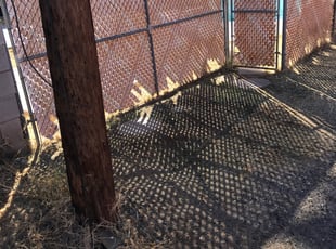 Cleanups by Ryan Stan for Kristin L. in Phoenix, AZ