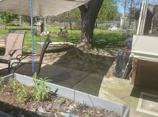 Bree B.'s Lawn Service service result