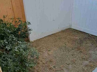 Cleanups by Daisy Guillen-Ramos for Kaylee G. in Bakersfield, CA