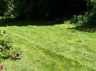 Tony F.'s Lawn Care service result