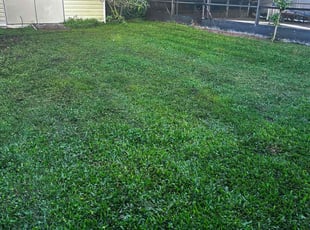 Elba S.'s Lawn Maintenance service result