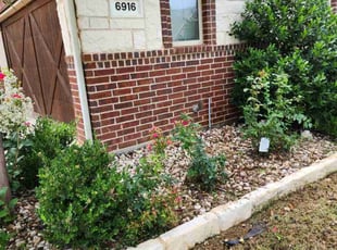 Weeding by Noheli Diaz for subhas P. in Colleyville, TX