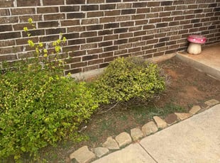 Weeding by Leray Thornton for Rebecca R. in Yukon, OK