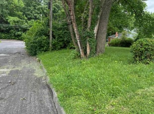 Weeding by Timothy Booth for Erica W. in Florissant, MO