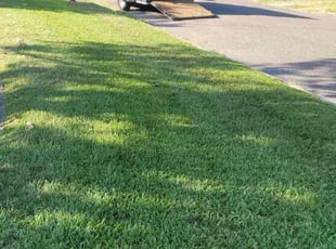 Ms. J.'s Grass Cutting service result
