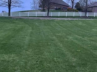 Jim B.'s Lawn Care service result