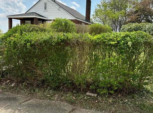 Bush Trimming by Taiwan Givens for Ebony M. in Clairton, PA