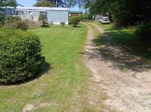Mark S.'s Lawn Mowing service result