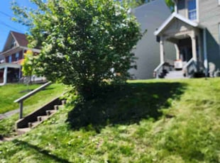 Bush Trimming by Tricia Finke for Phillip V. in Cincinnati, OH