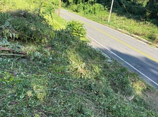 Cleanups by Derek Rusher for Mario s. in Atlanta, GA