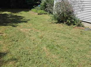 Cleanups by David Daye for Seashore L. in Barrington, RI